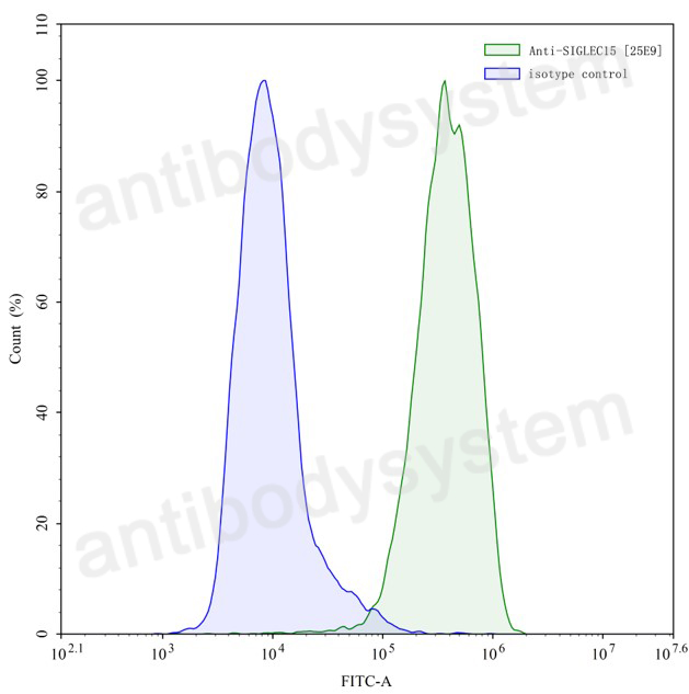 Anti-Human SIGLEC15/CD33L3 Antibody (25E9#)